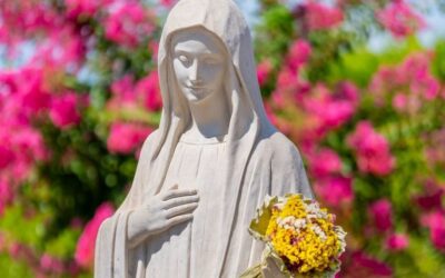 MENSAGEM DA RAINHA DA PAZ, DE 25 DE AGOSTO DE 2026
